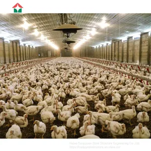 Poultry Farm Design With Bird Cage for Layers thumbnail-4