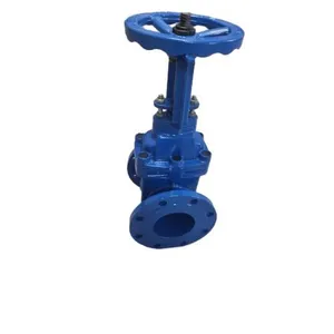 DN100 Pn16 Flange Type Ductile Cast Iron Sluice Gate Valve Rising Stem Resilient Soft Sealing Manual Power General Water thumbnail-4