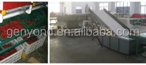 Strawberry Jam Strawberry Jam Production Line Multifunctional Fruit Processing Machine thumbnail-3