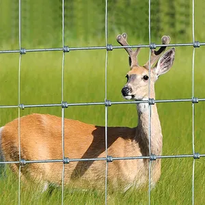 Best Price Hot Galvanized Zinc Coated Cattle Mesh Fence for Goat Cow and Sheep Farm Wire Mesh Fence thumbnail-2