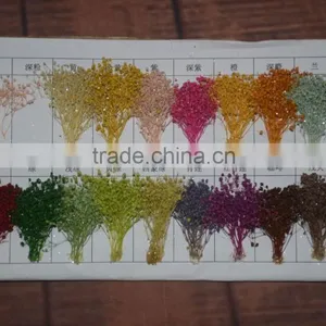 2016 Cheap Artificia Natural Dry Flower thumbnail-1