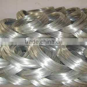 11 BWG Low Price Electro Galvanized Iron Wire thumbnail-1