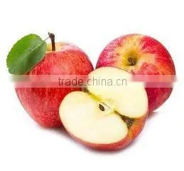 2016 Small Size 150-198 # Fuji Apple on Sale thumbnail-5
