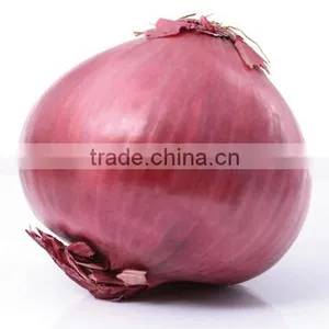 Electric Fresh Onion Skin Peeling Machine|Commercial Onion Peel Removing Machine thumbnail-3