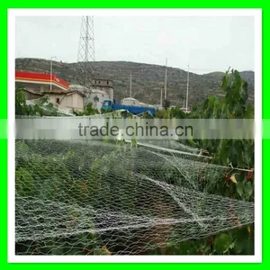 China Manufacturer Supply Anti Bird Protection Net/bird Mist Net/bop Stretch Net thumbnail-5