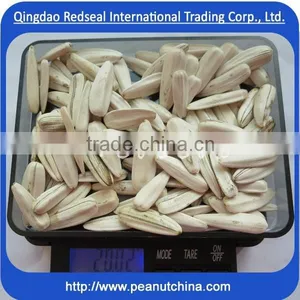 2014 White Sunflower Seeds thumbnail-1