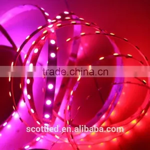 New Tape 5050 60led WS2813 Led Pixel Light Strip Non- Wterproof 60pcs With 60pixels thumbnail-4