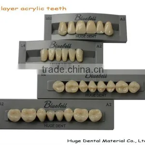 2015 Hot Sale Synthetic Polymer Teeth thumbnail-3