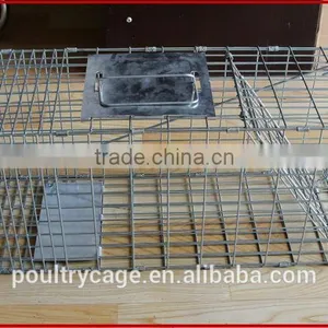 Foldable Live Mouse Cage Trap From China Manufacture thumbnail-1