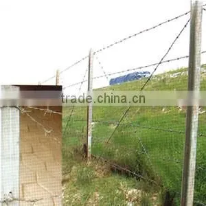 Anping Galvanized Barbed Wire for Sale Price From China thumbnail-4