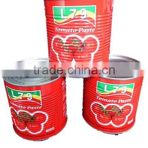 Tomato Paste 800g Canned thumbnail-1