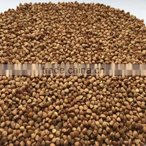 2016- New Crop Roasted Buckwheat Kernel thumbnail-2