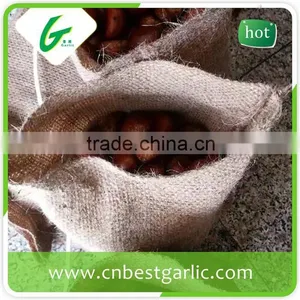 Price Chinese Raw Wholesale Frozen Chestnuts thumbnail-2