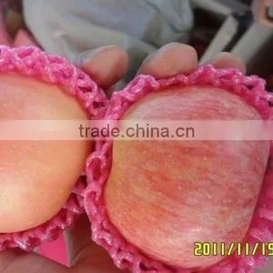 2011 Crop Red Fuji Apple thumbnail-1