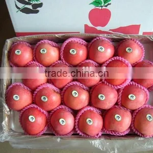 Hot Sale Fuji Apple thumbnail-1