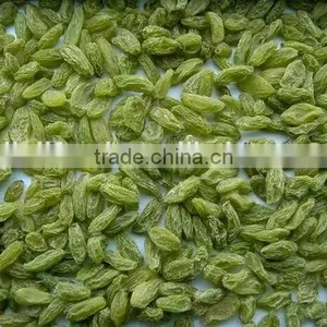 High Quality Green Raisin From China thumbnail-6