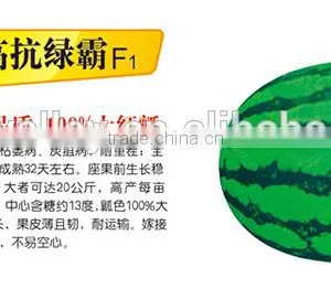 2015 High Diseases Resistance Hybrid F1 Sweet Watermelon Seeds For Growing-High Resistnace Green Lord F1 thumbnail-1