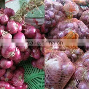 Cheap Mature Coconut thumbnail-2