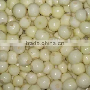 Fresh White Onion thumbnail-1