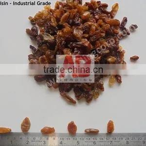 Black Raisins Good Quality /Dried Raisins From India / Best Quality thumbnail-3