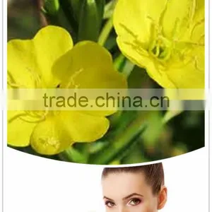 Hot Sale Evening Primrose Oil Omega 6 Essential Oil thumbnail-2