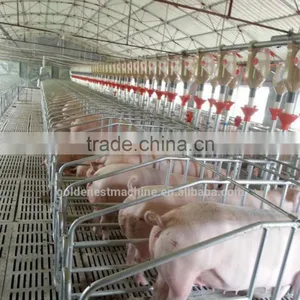 Poultry Farm Machinery Gestation Crates Stalls For Pigs thumbnail-4