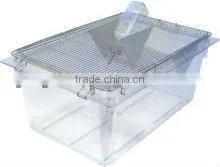 Polycarbonate Lab Rodent Cages thumbnail-1