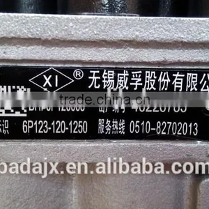 WUXI WEIFU Fuel Injection Pump BHF6P120005 6P123-120-1250 thumbnail-1