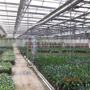 Natural Ventilation Green House for Vegetables thumbnail-1