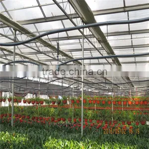 Fully Automated Light Deprivation Greenhouse thumbnail-1