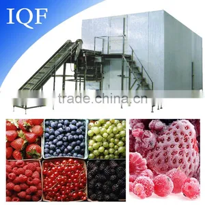 New Arrival High Quality Pineapple Iqf Freezer Preservation Equipment thumbnail-1