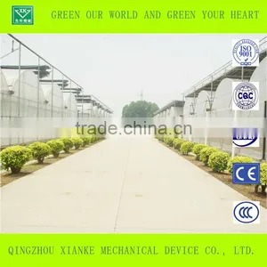 China Best Agricultural and Restaurant Greenhouse Manufacturer With Richest Experience in Shandong Province thumbnail-3