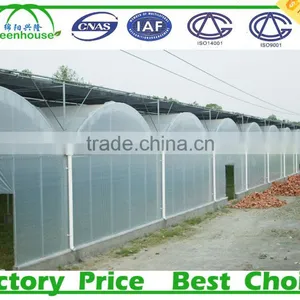 Low Cost Multi Span Used Commercial Greenhouses For Sale thumbnail-4