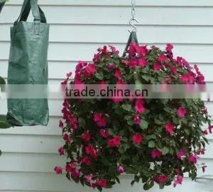 Vertical Garden Planter Bag thumbnail-1