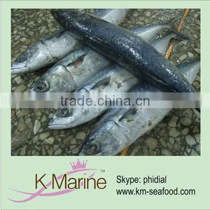 China Manufacturer Frozen Scomeber Jopanicus Lot Number#kmw4012 thumbnail-1