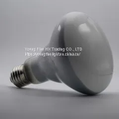 Reptile Daylight Basking Spot Bulb R30 R95 150W thumbnail-1
