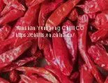 Dry Chilli thumbnail-1