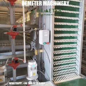 Layer Chicken Breeding Cage thumbnail-1