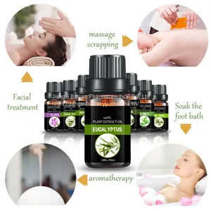 Factory Wholesale Eucalyptus Essential Oil Pure Natural Oil thumbnail-5