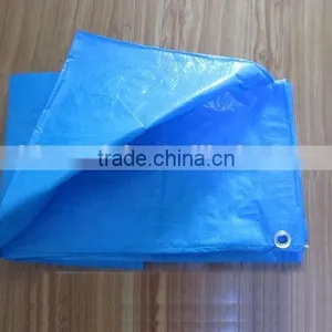 Tear Resistant Waterproof Plastic PE Tarpaulin Rolls for Sale thumbnail-2