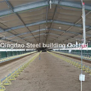 Prefabricated Building Galvanized Steel Structure Farming Shed Chicken Poultry House thumbnail-4