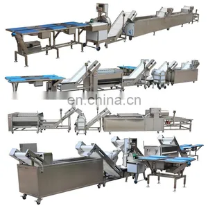 Stainless Steel Apple/pear/mango/fruit/vegetable Washing/cleaning/processing Machine/equipment thumbnail-4