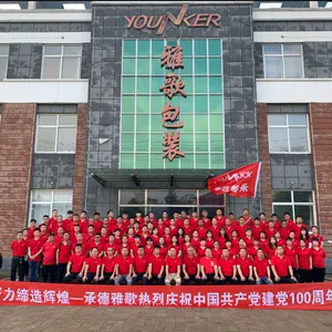 Chengde Younker Packaging Technology Co., Ltd company overview - view 1 thumbnail