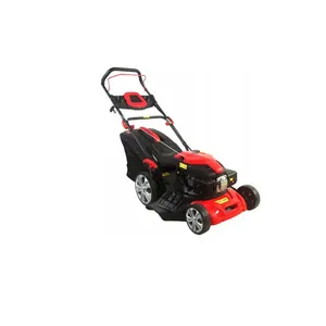 Hand-propelled Gasoline Mower thumbnail-3