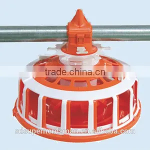 Automatic Pan Feeding Systems for Chickens thumbnail-1