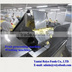 Fruits and Vegetable Washing Machine / Impurity Removing and Cleaning Machine thumbnail-5