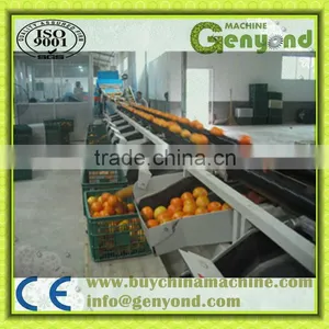 Cup Squezzing Orange Juicer Machine thumbnail-5