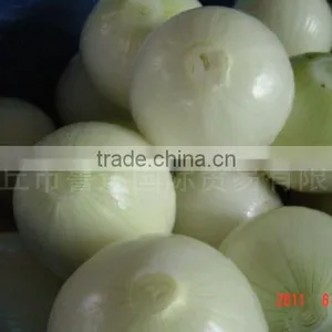 2014 New Crop High Quality Yunnan Fresh Yellow Onion thumbnail-2