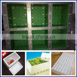 Zhejiang Eps Mould/Mold for Foam Fruit Box thumbnail-1