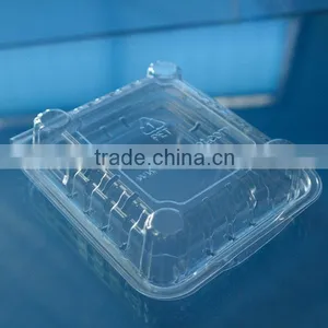 PET Disposable Blister Blueberry Clamshell Container thumbnail-3